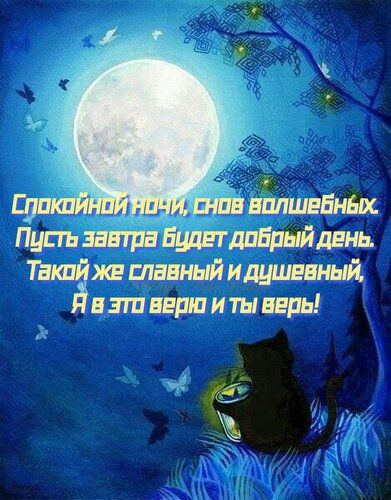 Открытка «Добрый день»: Спокойной ночи и доброго завтрашнего дня. Тэги: Спокойной ночи, пожелание, настроение, кот…