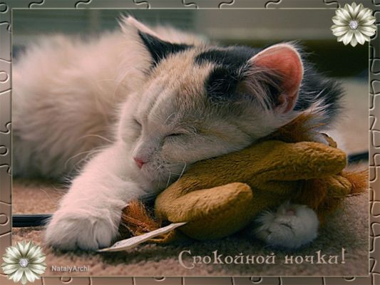 Открытка «Спокойной ночи»: Сладкие сны пушистого чуда!. Тэги: Спокойной ночи, красивые, Спокойной ночи и добрых снов…