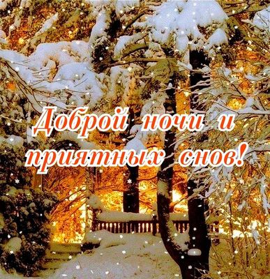 Открытка «Доброй ночи»: Доброй ночи и приятных снов в зимнем лесу!.