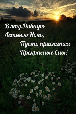 Открытка «Доброй ночи»: Дивная летняя ночь и прекрасные сны.