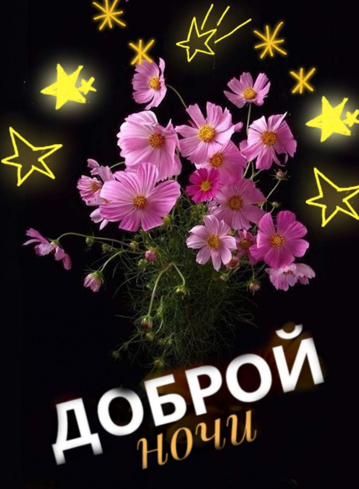 Открытка «Спокойной ночи»: Спокойной ночи с нежными цветами и звездами. Тэги: пожелание, настроение, красивый, нежный…
