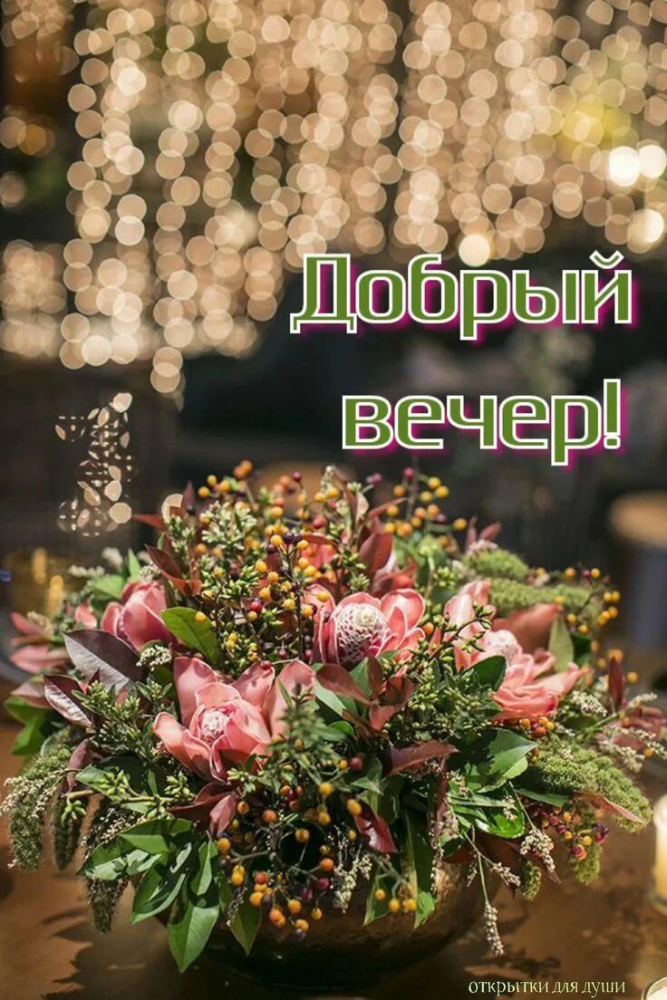 Открытка «Добрый вечер и пожелания»: Добрый вечер и букет красоты. Тэги: Доброго вечера и хорошего настроения, Добрый…