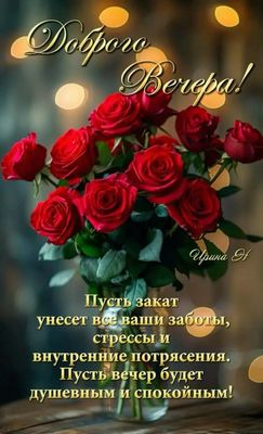 Открытка «Добрый вечер и пожелания»: Добрейшего вечера с алыми розами!. Тэги: Доброго вечера и хорошего настроения…