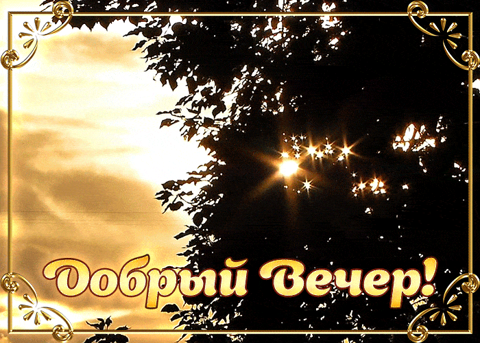 Открытка «Добрый вечер и пожелания»: Добрый вечер, золотой закат и мерцающие листья!. Тэги: Добрый вечер красивые…