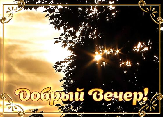 Открытка «Добрый вечер и пожелания»: Добрый вечер, золотой закат и мерцающие листья!. Тэги: Добрый вечер красивые…
