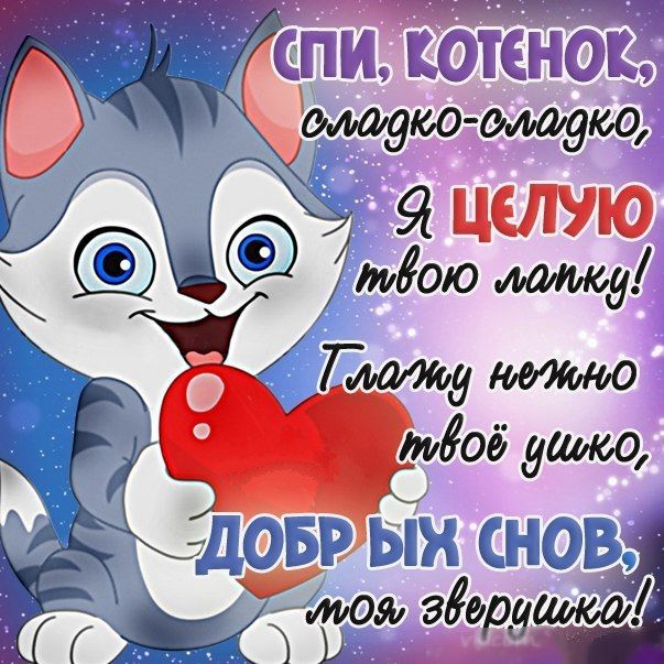 Открытка «Доброй ночи»: Сладких снов, моя зверушка! Ласковое пожелание. Тэги: пожелание, кот, сердце, милый, животное…