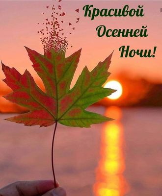 Открытка «Добрый вечер и пожелания»: Красивой осенней ночи. Тэги: Добрый вечер красивые, Доброго, прекрасного вечера…