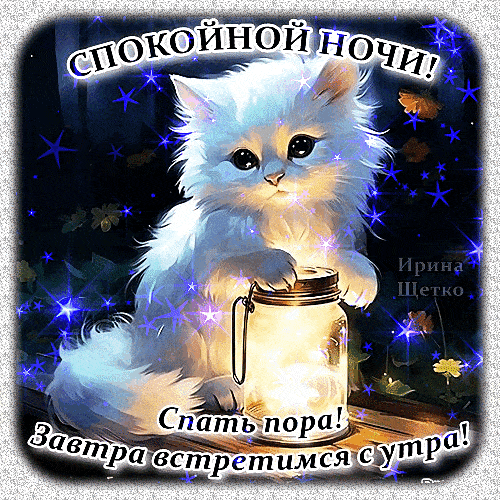 Открытка «Спокойной ночи»: Спокойной ночи с милым котенком и фонариком. Тэги: пожелание, кот, милый, добрый, животное…