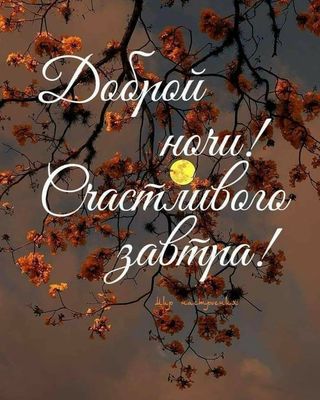 Открытка «Доброй ночи»: Спокойной ночи и счастливого завтрашнего дня!. Тэги: Добрый вечер и пожелания, Добрый вечер к…