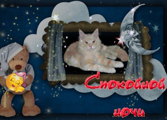 Открытка «Спокойной ночи»: Сладких снов от пушистого друга и мишки!. Тэги: Добрый вечер и пожелания, Добрый вечер и с…
