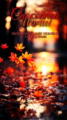 Открытка «Доброй ночи»: Спокойной ночи и добрых снов. Тэги: Хорошего настроения, пожелание, уют, осень, красивый…