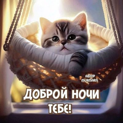 Открытка «Доброй ночи»: Сладкие сны с милым котенком. Тэги: Хороших снов