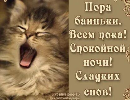 Открытка «Спокойной ночи»: Сладких снов и спокойной ночи от милого котенка. Тэги: Спокойной ночи, с пожеланиями…