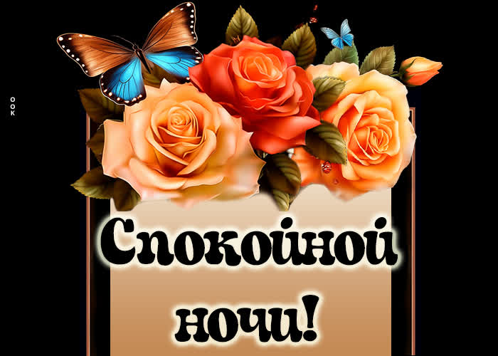 Открытка «Спокойной ночи»: Сказочной ночи и сладких снов. Тэги: пожелание, сказочный, хороший, роза, цветок, бабочка…