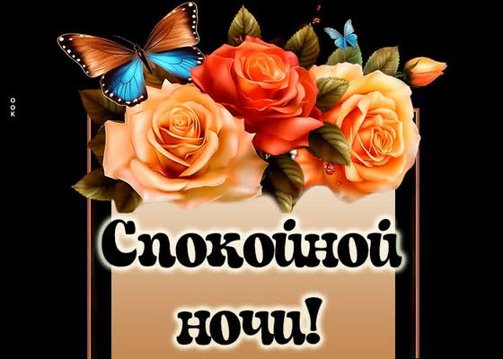 Открытка «Спокойной ночи»: Сказочной ночи и сладких снов. Тэги: пожелание, сказочный, хороший, роза, цветок, бабочка…