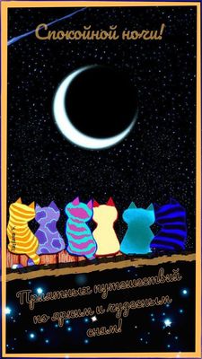 Открытка «Спокойной ночи»: Спокойной ночи и ярких снов с котами. Тэги: Спокойной ночи, с пожеланиями, Спокойной ночи…