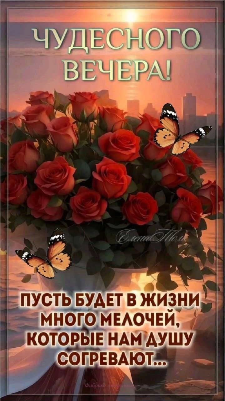 Открытка «Добрый вечер и пожелания»: Букет роз и бабочки для чудесного вечера. Тэги: Добрый вечер красивые, Добрый по…