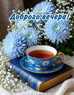 Открытка «Гиппеаструм»: Уютного вечера с чашкой чая и цветами!. Тэги: Добрый вечер и пожелания, Добрый вечер красивые…