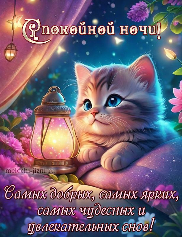 Открытка «Спокойной ночи»: Милый котёнок желает самых добрых снов. Тэги: увлекательный, Спокойной ночи, с пожеланиями…