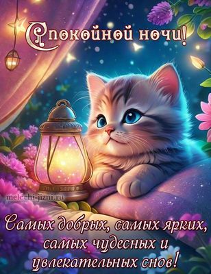 Открытка «Спокойной ночи»: Милый котёнок желает самых добрых снов. Тэги: увлекательный, Спокойной ночи, с пожеланиями…