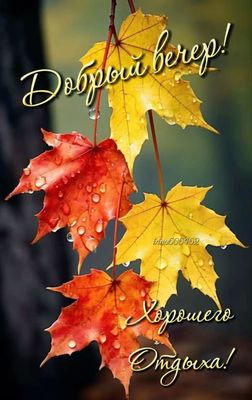 Открытка «Добрый вечер и пожелания»: Осенний вечер и красивый отдых. Тэги: Добрый вечер красивые, Добрый позитивный в…
