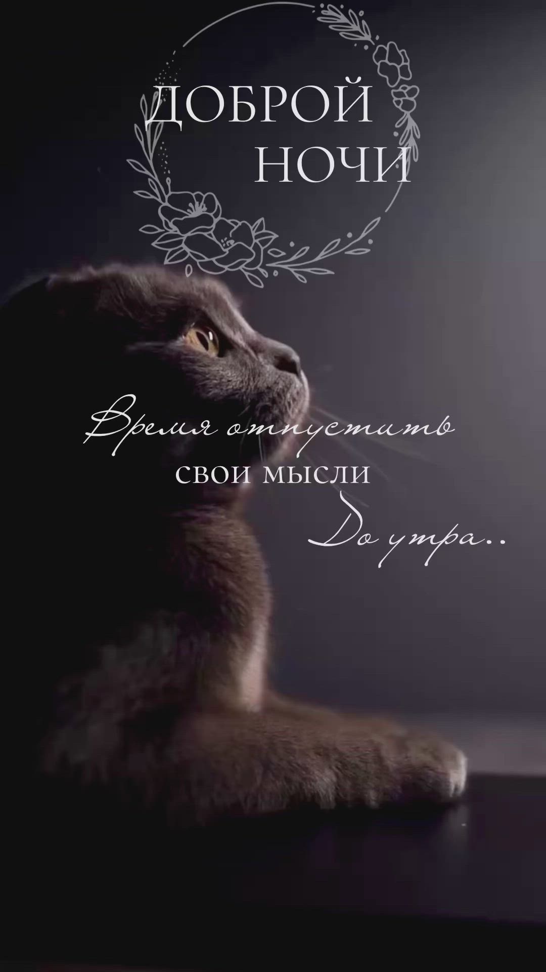 Открытка «Доброй ночи»: Спокойной ночи с пушистым другом. Тэги: раздумье