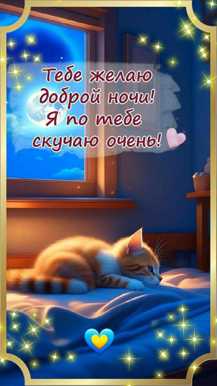 Открытка «Доброй ночи»: Спокойной ночи, любимый котик!.