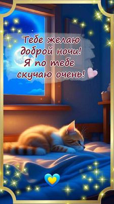 Открытка «Доброй ночи»: Спокойной ночи, любимый котик!.