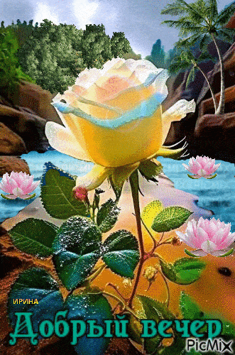 Открытка «Добрый вечер и пожелания»: Завораживающая роза в тропическом вечере. Тэги: Добрый вечер красивые, Добрый ве…