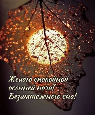 Открытка «Доброй ночи»: Спокойной осенней ночи и безмятежного сна!. Тэги: Спокойной ночи, пожелание, осень, красивый…