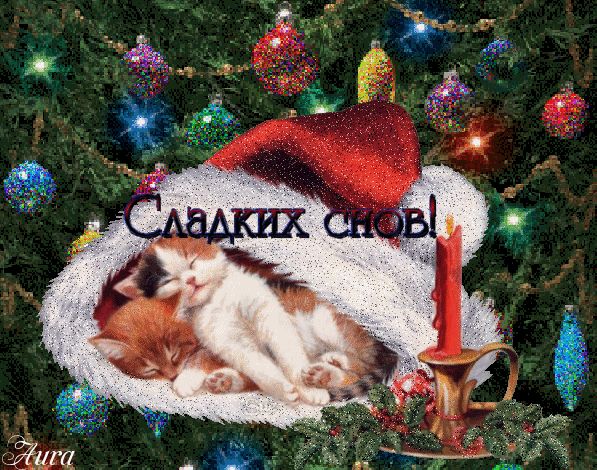 Открытка «Доброй ночи»: Сладких снов от милых котят!. Тэги: Сладких снов, позитивный, прикольный, кот, милый, животное…