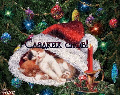 Открытка «Доброй ночи»: Сладких снов от милых котят!. Тэги: Сладких снов