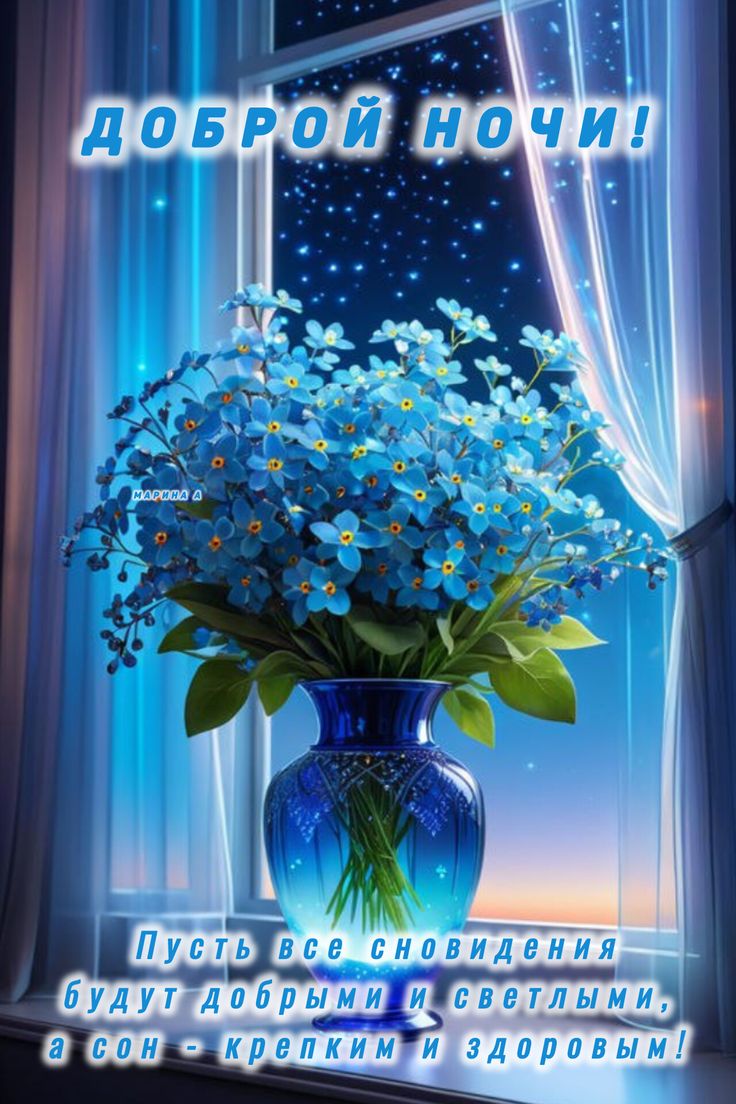 Открытка «Доброй ночи»: Спокойной ночи с синими незабудками в окне!.