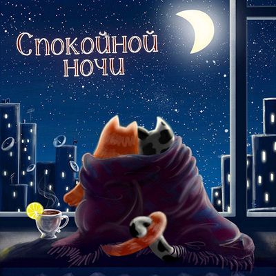 Открытка «Спокойной ночи»: Спокойной ночи, любимые котики. Тэги: Спокойной ночи, с пожеланиями, Спокойной ночи…
