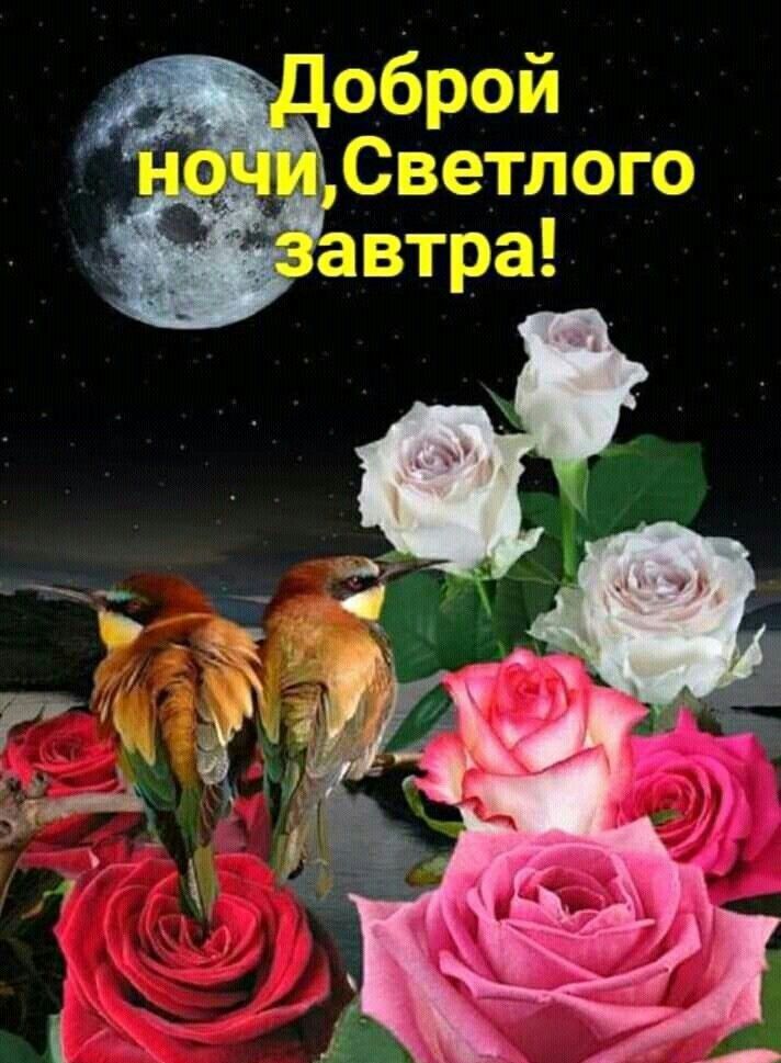 Открытка «Доброй ночи»: Доброй ночи и светлого завтра!.