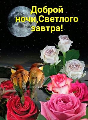 Открытка «Доброй ночи»: Доброй ночи и светлого завтра!.