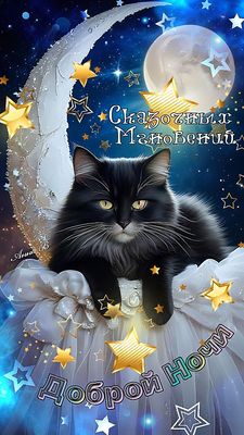 Открытка «Добрый вечер и пожелания»: Сладких снов от пушистого друга. Тэги: Добрый вечер красивые, Добрый вечер…