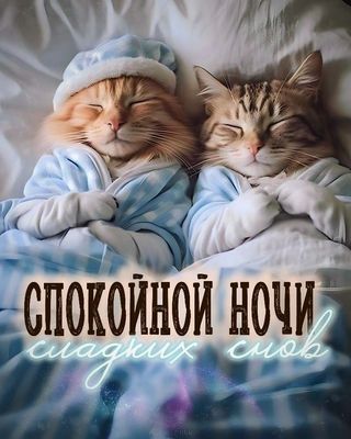 Открытка «Спокойной ночи»: Спокойной ночи и сладких снов. Тэги: позитивный, кот, милый, животное, уют, нежный, домашн…