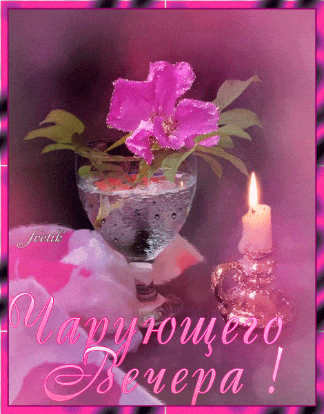 Открытка «Добрый вечер и пожелания»: Чарующий вечер: цветок и свеча. Тэги: Добыий вечер, гифки, Добрый вечер, с цвета…