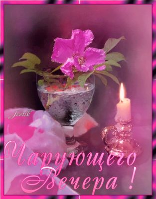 Открытка «Добрый вечер и пожелания»: Чарующий вечер: цветок и свеча. Тэги: Добыий вечер, гифки, Добрый вечер, с цвета…