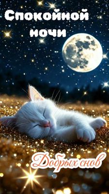 Открытка «Спокойной ночи»: Спокойной ночи и добрых снов с милым котиком. Тэги: Спокойной ночи, красивые, Спокойной но…