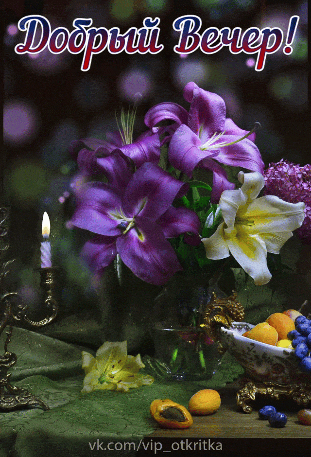 Открытка «Добрый вечер и пожелания»: Добрый вечер, полный уюта и красоты. Тэги: Добрый вечер красивые, Доброго вечера…