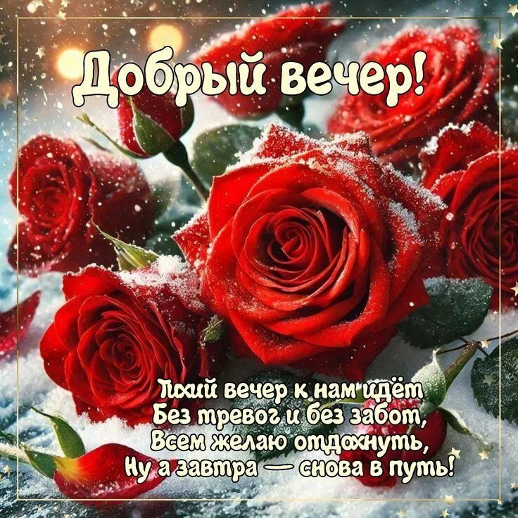Открытка «Добрый вечер и пожелания»: Добрый вечер с красными розами в снегу. Тэги: Добрый зимний вечер, Добрый вечер…