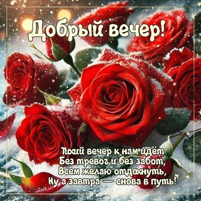 Открытка «Добрый вечер и пожелания»: Добрый вечер с красными розами в снегу. Тэги: Добрый зимний вечер, Добрый вечер…