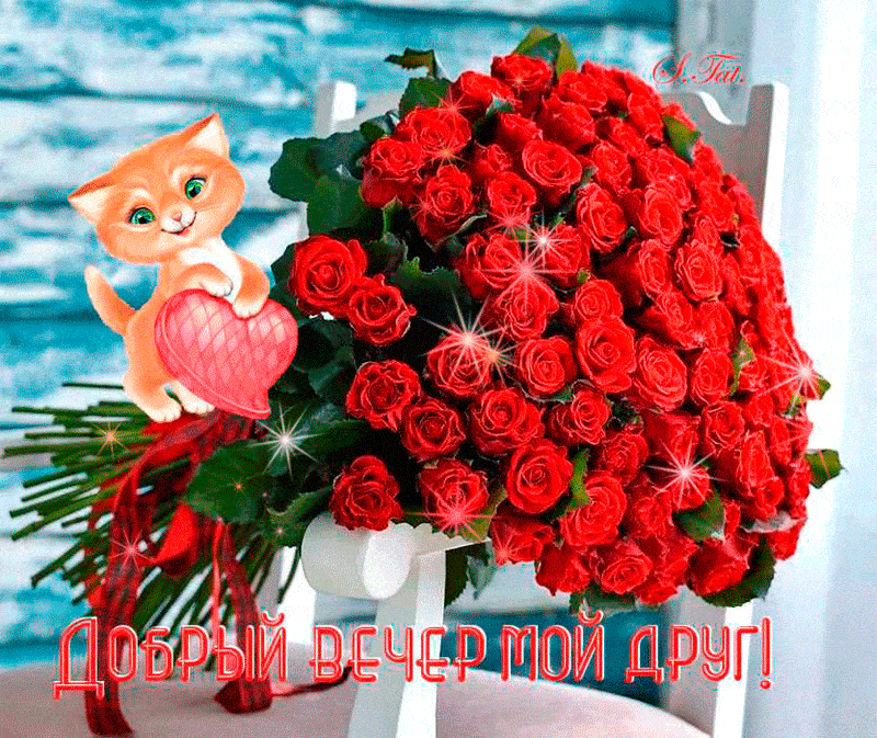 Открытка «Добрый вечер и пожелания»: Добрый вечер: милый кот с сердцем и букетом роз. Тэги: Добрый вечер красивые…