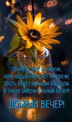 Открытка «Добрый вечер и пожелания»: Добрый вечер: красивый пожелание со свечой и желтым цветком. Тэги: Добрый вечер…