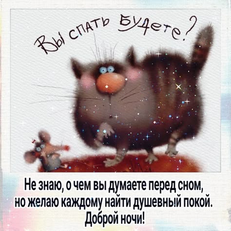 Открытка «Доброй ночи»: Доброй ночи: Забавный кот и пожелание покоя. Тэги: проза