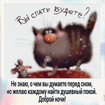 Открытка «Доброй ночи»: Доброй ночи: Забавный кот и пожелание покоя. Тэги: проза