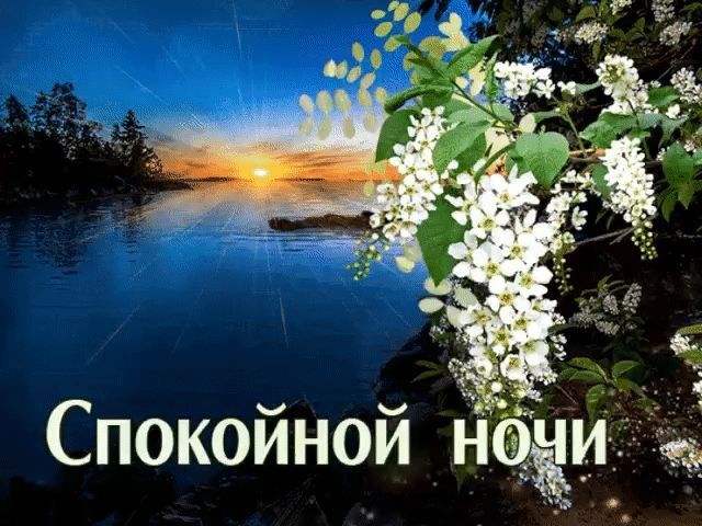 Открытка «Спокойной ночи»: Спокойной ночи: Красивая открытка с цветами у озера. Тэги: черемуха, Спокойной ночи…