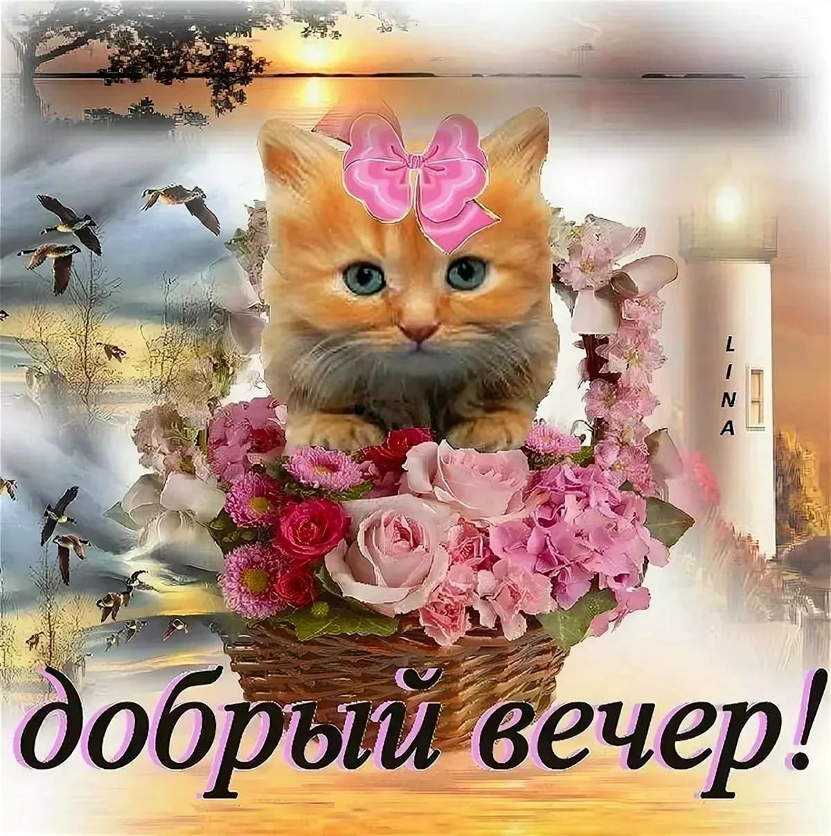 Открытка «Добрый вечер и пожелания»: Добрый вечер: милый котенок в цветах для настроения. Тэги: Доброго вечера и хоро…